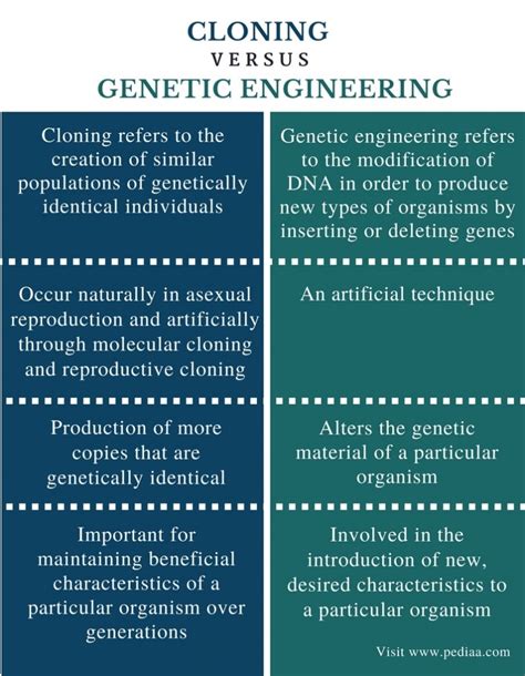 difference between image and clone